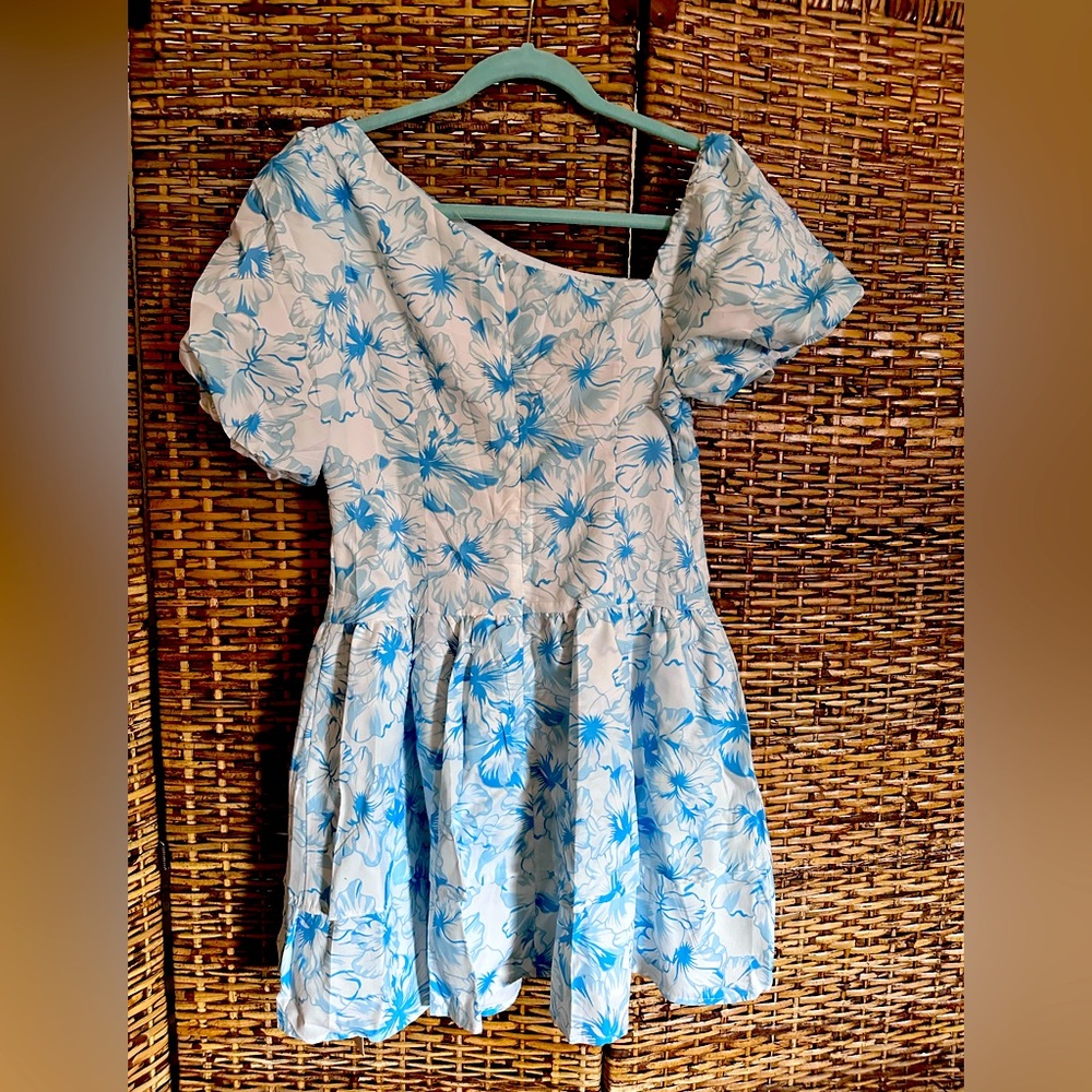 Asymmetric Neckline Puff Sleeve Floral Print Mini Dress - Blue